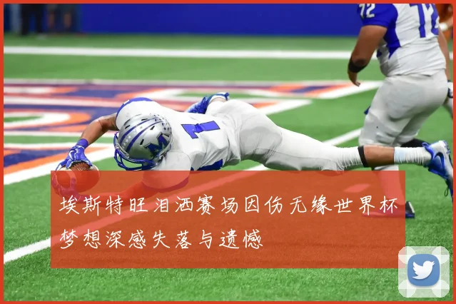 埃斯特旺泪洒赛场因伤无缘世界杯梦想深感失落与遗憾